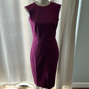 Ann Taylor NWT professional dress.
